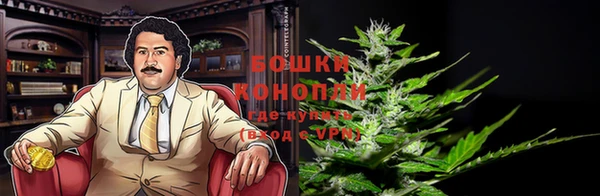 стафф Волоколамск