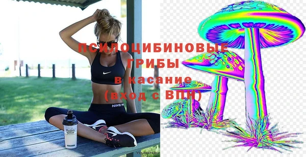 стафф Волоколамск