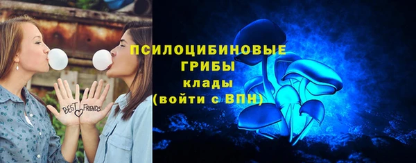 стафф Волоколамск