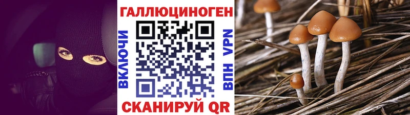 дарнет шоп  hydra как зайти  Псилоцибиновые грибы мухоморы  Солнечногорск 